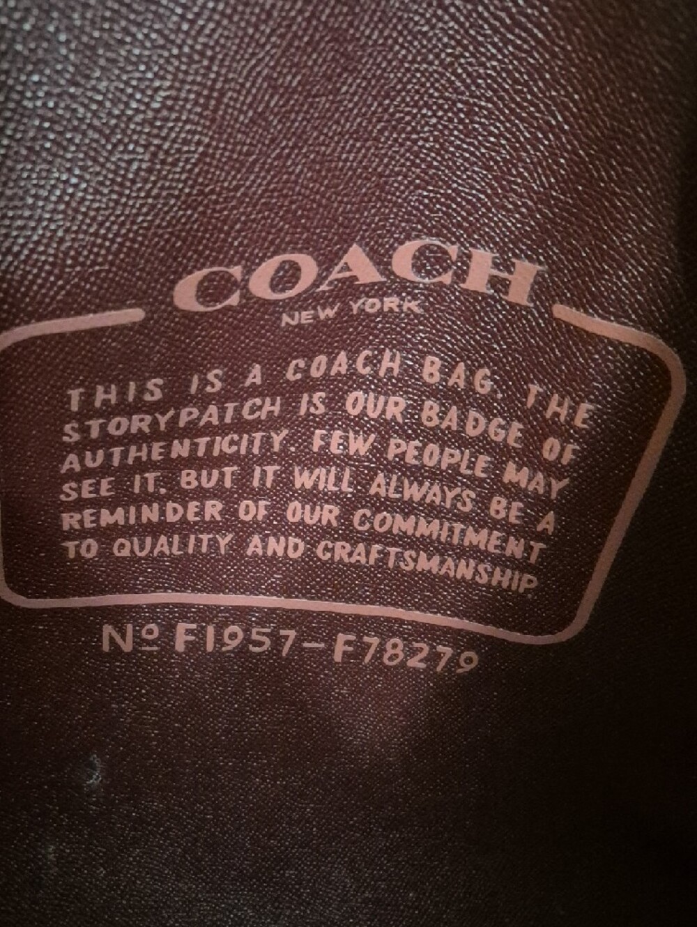 Coach Reversible City Tote - Prairie Daisy Cluster - Picture 3 of 8